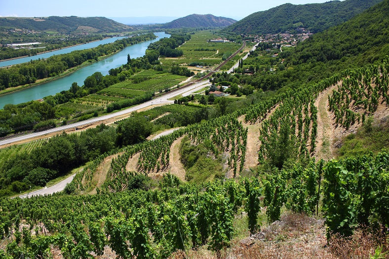 Vallée du Rhône