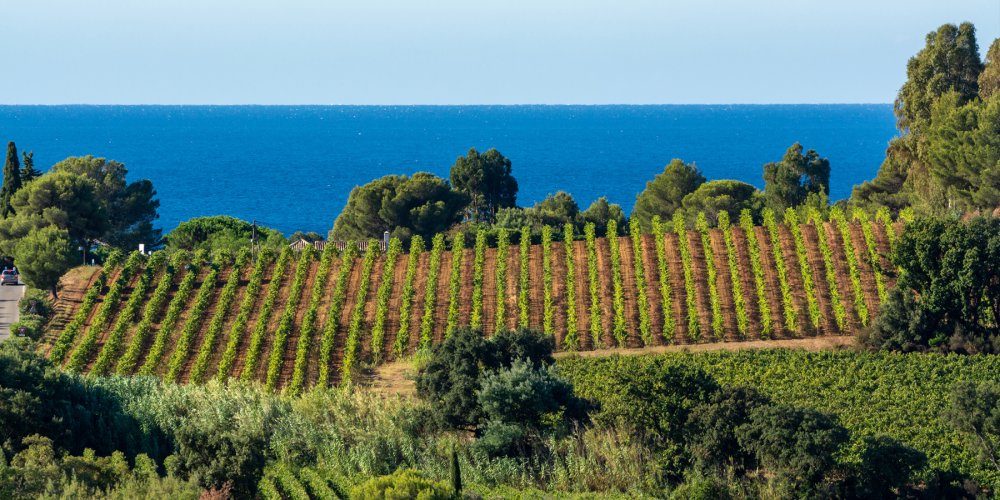 Provence
