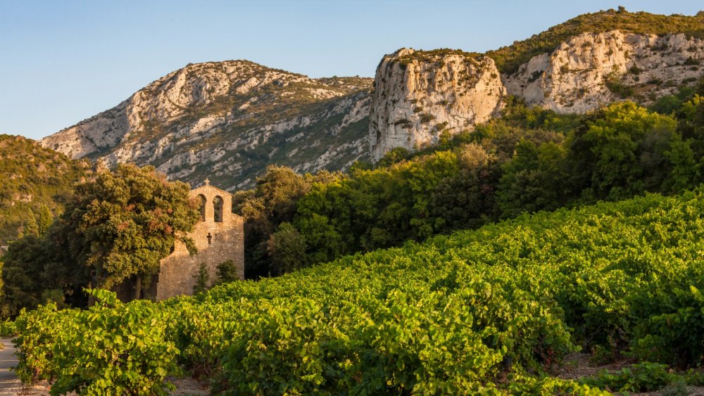 Languedoc